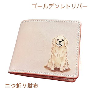 ܂z {v S[fgo[ ꖳ J[rO K  U[ 킢 g ₷ v[g Y fB[X MtgΉ