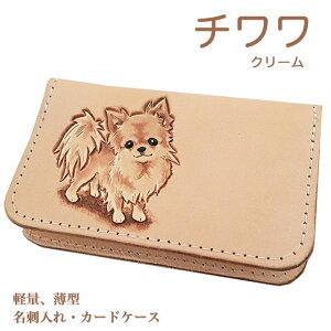 h J[hP[X ` N[ X ^ fB[X Y 킢 `G `ObY v