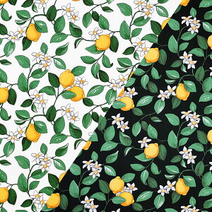 ߂n[tn[tJbgNX Arbh\YeLX^C Citronlycka VgX