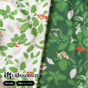 2025AWV kn ARVIDSSONS TEXTILArbh\YEeLX^C Oxel INZ S2F n150cm 100 An [10cmPʂ͂蔄/n[tJbg炨Iт]