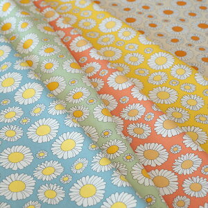 2024AW RENEWAL!! STUDIO HILLA 10th ANNIVERSARY kn STUDIO HILLA X^WIqb kakkara fCW[