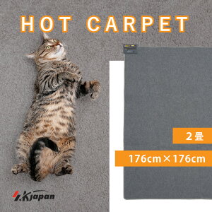 GXPCWp zbgJ[ybg y10/24`10/27 500~OFFN[|z 2 176×176 SKJ-KS2J-G g ^C}[t OFF g[ dCJ[ybg _j΍ dC}bg g[ ȃGl g[