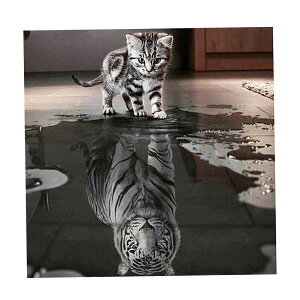 5D �_�C�������h�G��L�b�g �L�ƌ� �S�ʓ\��t�� �Ǐ��� DIY ���� ���S�Ҍ��� �ȒP ���蕨