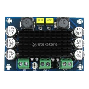 �I�[�f�B�I �f�W�^�� DC 12V-24V 100W �A���v��� TPA3116 D2 �p���[�A���v ���m�����`�����l��