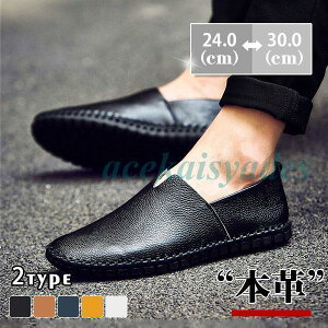 Xb| Y {v 傫TCY bV F [t@[ _炩 ԉ^] ʋC C ʊw ʋ t H ~  K rWlX