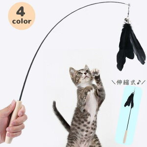 L炵 Lp Lk Ht ˂炵 ybgpi LbggC ނƃ^Cv t ^s XgX Lт XeBbN