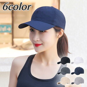 Lbv Xq 싅X n jp fB[X Y 悯 Ă΍ O΍ TCY߉\ St ނ X|[c AEghA s