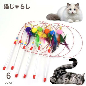 L炵 lRp ނƃ^Cv Lbg ybggC ߋ ˂ObY  H tFU[ ӂӂ || _^ XeBbN XgX