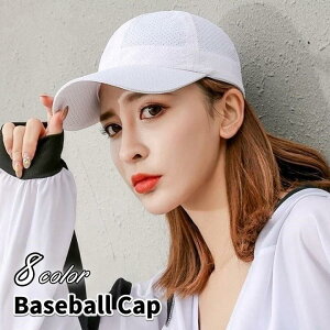 Lbv fB[X Xq 싅X n jp Y 悯 Ă΍ O΍ TCY߉\ ʋC St ނ X|[c AEghA