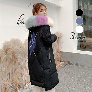 R[g _ER[g fB[X  R[g _EWPbg  H~ 40 t@[t  _ER[g O g 傫TCY AE^[ 3F