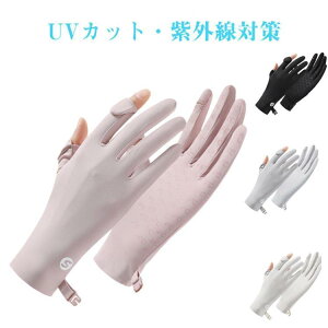 UVJbg  2Zbg St O΍ Of[VJ[ oCN O[u ~ ⊴ AEghAO[u  fB[X ^b`