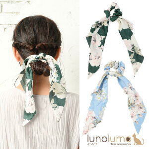 y[֑zVV wAANZT[ wAANZ fB[X { XJ[t  t[   l H