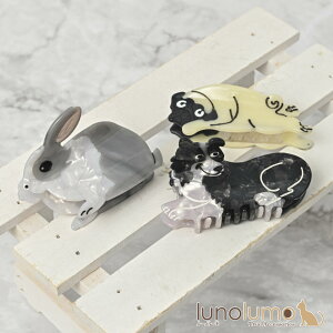 y[֕szwANbv oXNbv wAANZT[ fB[X  Ck  pO R[ H