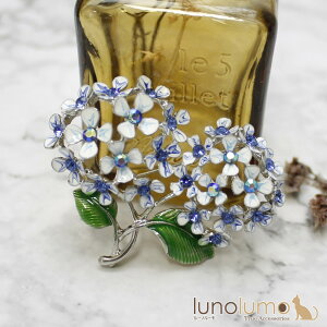 y[֑zu[` ANZT[ fB[X z  AWTC  t[  ~J  v[g B