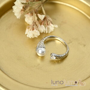 y[֑zw O fB[X L[rbNWRjA p[ ^ Vo[  t[TCY N