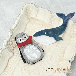 y[֑zu[` fB[X NW  ~ yM C }    v[g BR