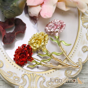 y[֑zu[` J[l[V  t[  F sN ̓ ̓ v[g 蕨 B