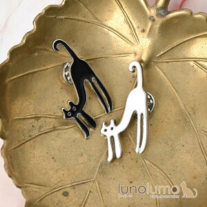 y[֑zsob` ys su[` fB[X L lR ˂ L L L v[g BR