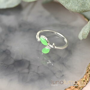 y[֑zw O fB[X t [t ot t  Vv  JWA t[TCY R