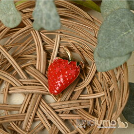 ブローチ レディース 苺 イチゴ いちご ストロベリー 収穫祭 可愛い プレゼント BR