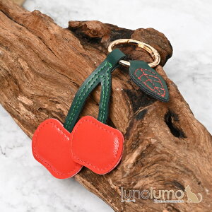 y[֑zL[z_[ obO`[ fB[X  TN{ t[c   v[g KH