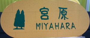 fUCXeXbLH\Di220×110ۃTCYj