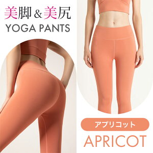 KEFA Kpc fB[X KMX Kpc MX tBbglXpc MX Xpbc K X|[cEGA g[jOpc g[jOEGA r _X W