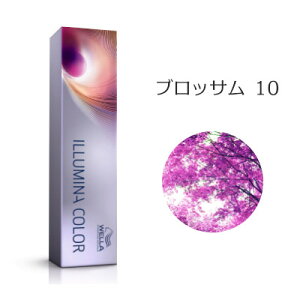 EG C~iJ[ ubT 10 80g [WELLA/Ɩp/wAJ[/1]y[֑Ήz