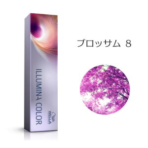 EG C~iJ[ ubT 8 80g [WELLA/Ɩp/wAJ[/1]y[֑Ήz