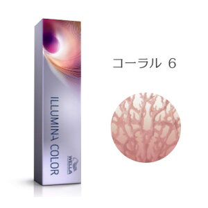 EG C~iJ[ R[ 6 80g [WELLA/Ɩp/wAJ[/1]y[֑Ήz