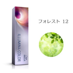 EG C~iJ[ tHXg 12 80g [WELLA/Ɩp/wAJ[/1]y[֑Ήz