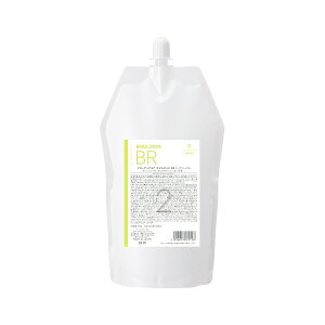 f~ t[fBAA G}W BR 960g [DEMI/FLOWDIA MORE/Xg[gp[} 2]