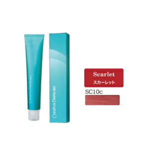 ^}X NGCeBu tFG lI XJ[bg 10c SC10c 80g [TAMARIS/R\[guERNV/Scarlet/Ɩp/wAJ[/1]y[֑Ήz