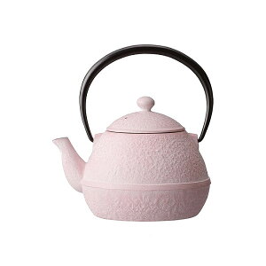 南部鉄器 茶器 及源鋳造の人気商品 通販 価格比較 価格 Com