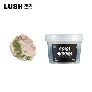  LUSH }ɗ  N[  tH[ 痿 AGx V[\g z 玉PA p ێ ь  C  Rh B[K v[g Mtg bV