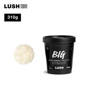  LUSH rbO?BIG Vv[ wbhXNu PA NWO XJvPA XNu n RV {[ V[\g mVR B[K v[g?bV