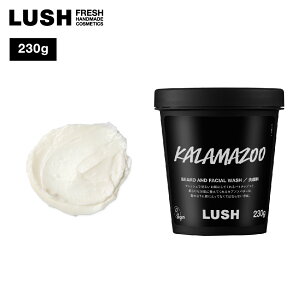  LUSH J}Y[ 痿  N[ pCibv yf 玉 p PA A[hIC NvAXo^[ ێ E Rh B[K v[g Mtg bV