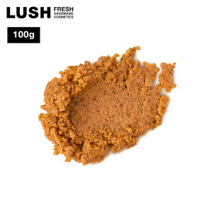 LUSH IWtFCX v[g A[h T_Ebh pvL Mtg RX bV 