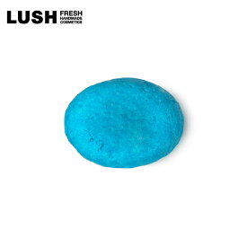 LUSH ラッシュ 公式 ビッグ プレスト コンディショナー 固形 シーソルト 海藻 ハリ コシ ボリューム いい匂い ハンドメイド プレゼント向け ノンシリコン コスメ