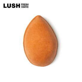 LUSH ラッシュ 公式 パミスパワー 65g フット スクラブ 石鹸 軽石 足裏 かかと 角質 におい ひび割れ オレンジ いい匂い プレゼント ハンドメイド コスメ