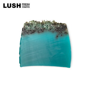 LUSH V[xW^u \[v 100g Ō` Ό v[g V[\g p ێ u  nhCh v`v B[K Rh RX bV 