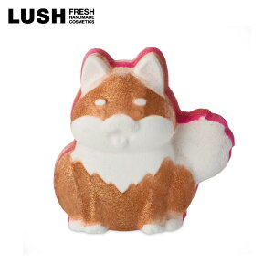 LUSH  { oX{ A  v[g v`Mtg GbZVIC ~U  nhCh B[K Rh RX bV 