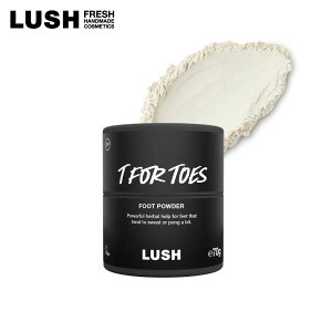  LUSH fTuCN pp̑ tbgpE_[ ̏L L   炳 pE_[ u₩ eB[c[ C I[KjbN B[K v[g Mtg nhCh b