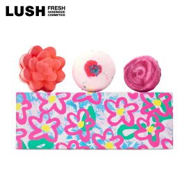 Lush バスボム Shower gel lush ギフトセット LUSHラッシュ 個セット バスボム 泡風呂 バブルバー シャワージェル - 入浴剤・バスソルト卸売 通販