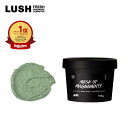公式 LUSH パワーマスクSP フェイス ボディ 兼用 フェイススクラブ ボディスクラブ スクラブマスク 毛穴ケア 角質 ハチミツ ミント 清涼感 オーガニック 自然派 コスメ プレゼント ギフト ラッシュ
