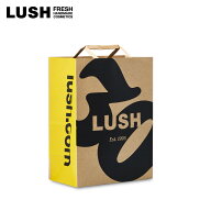 LUSH ショッパー 紙袋 手提げ袋 買い物袋 バッグ プレゼント用 ギフト ラッピング 手渡し お配り用 ラッ…