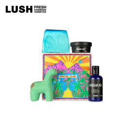 LUSH ラッシュ 公式 アドベンチャーアイランド ギフト 父の日 プレゼント向け バスボム シャワージェル ソープ 石鹸 スクラブ ヴィーガン コスメ コフレ セット