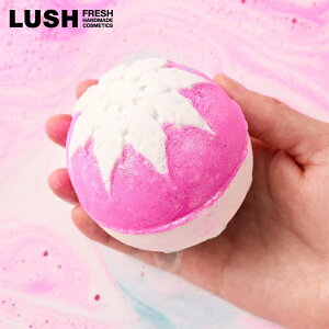 LUSH Xm[tFA[ { oX{ NX}X  2025  v`Mtg v[g C ȉَq lC 킢 B[K RX bV 