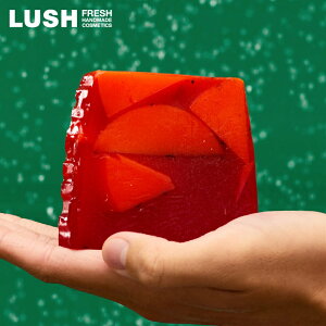 LUSH NX}Xx[ \[v NX}X  2025 Nx[ IW Ō`Ό lC 킢 B[K RX bV 