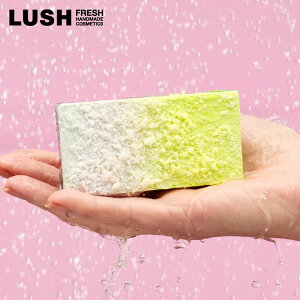 LUSH xCNh AXJ M \[v NX}X  2025 VgX CC Ō`Ό lC 킢 B[K RX bV 